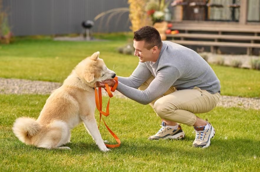 A man training his happy dog in the backyard
